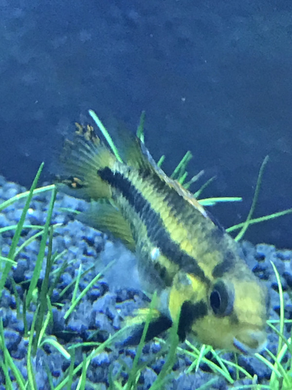 710A6A21-D3F8-4464-AA11-50D4153A09CF