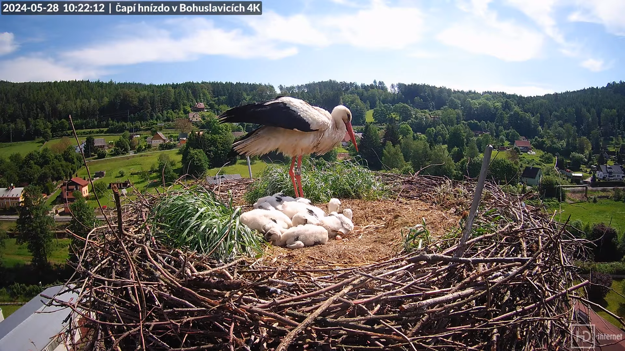 Tiešraidē no uzņēmuma KARA stārķa skursteņa Bohuslavicē pie Trutnovas 11-50-2 screenshot