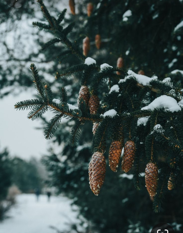 Screenshot_20231123_211517_Pinterest