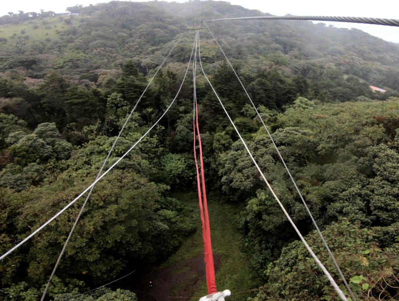 3 semanas Costa Rica en autobús 2018 Oct - Blogs de Costa Rica - Día 12. Monteverde Bosque y Canopy (6)