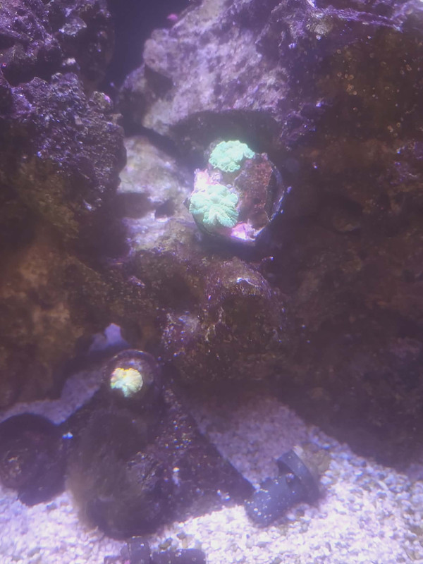 acce5bd5 abe3 47b8 8654 52b1b9b406d2