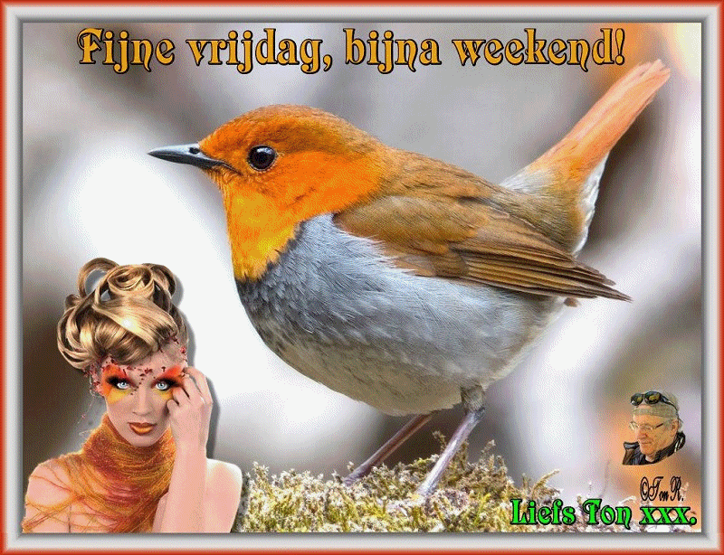 www.krabbelplaatjes.com