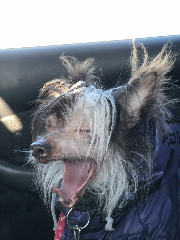 B26A11F8-7095-4B28-9597-E1A14EAF617A