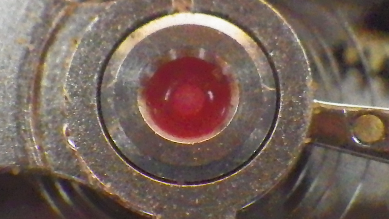 IMGP4070