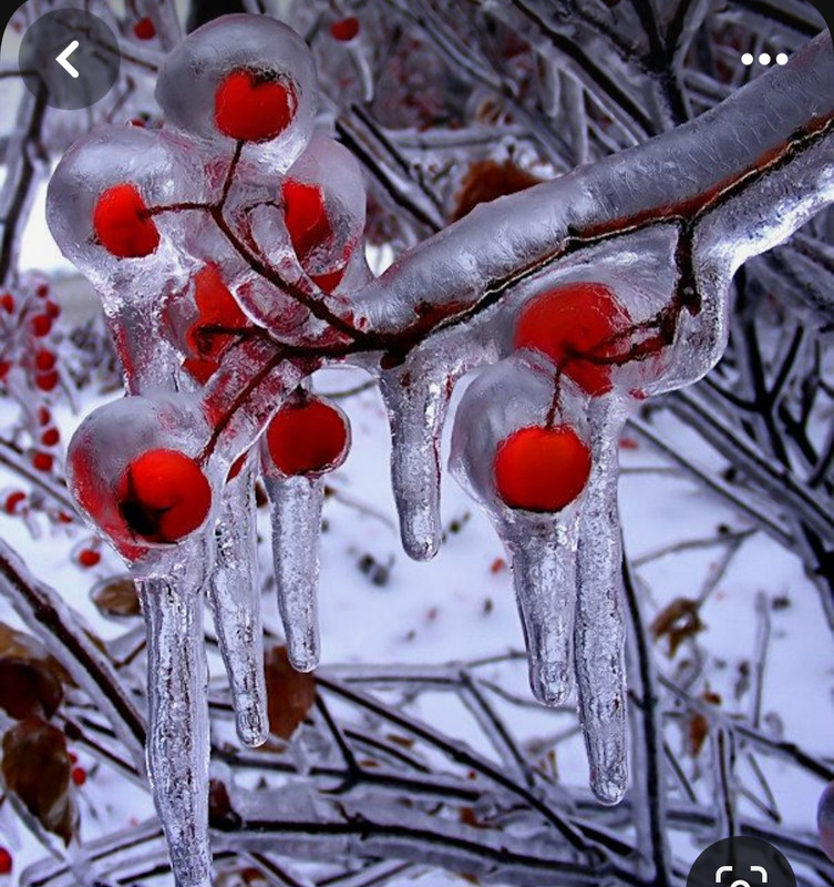 Screenshot_20240124_231349_Pinterest