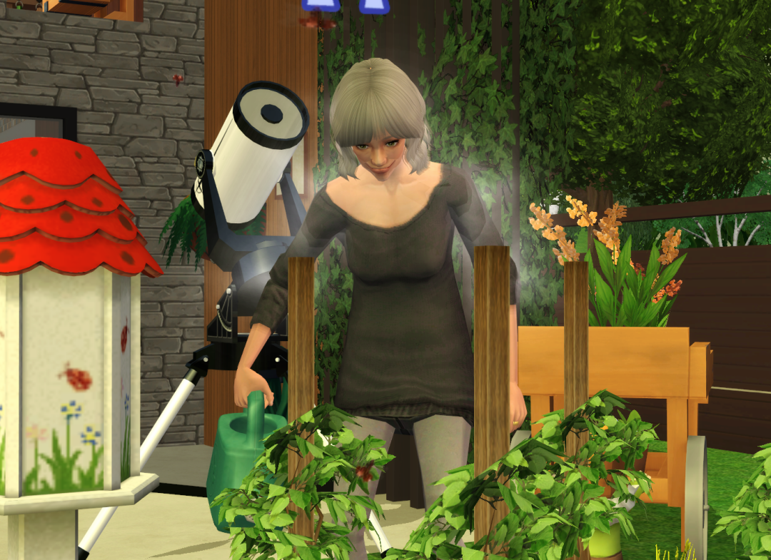 Sims2-EP9-RPC-2023-09-29-21-30-01-27