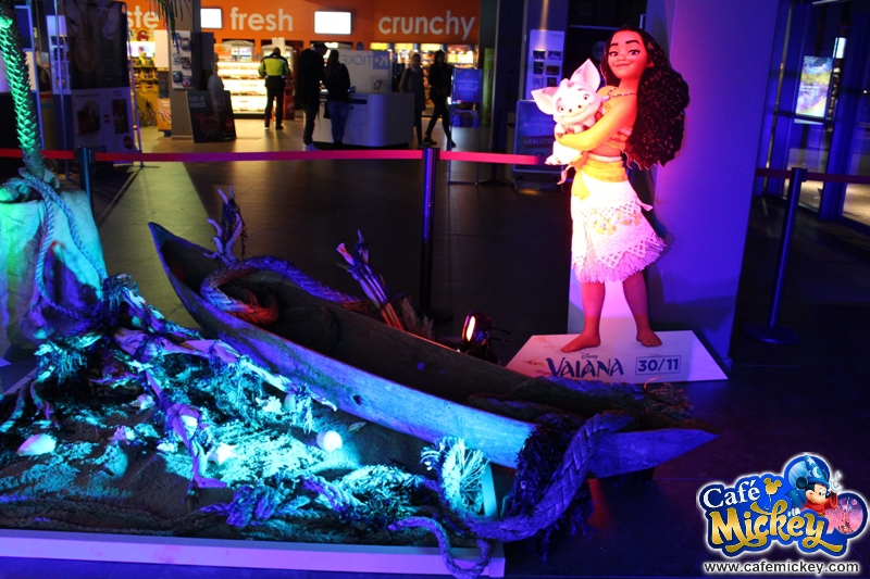 IMG_9388_zpsb7d5q0cz