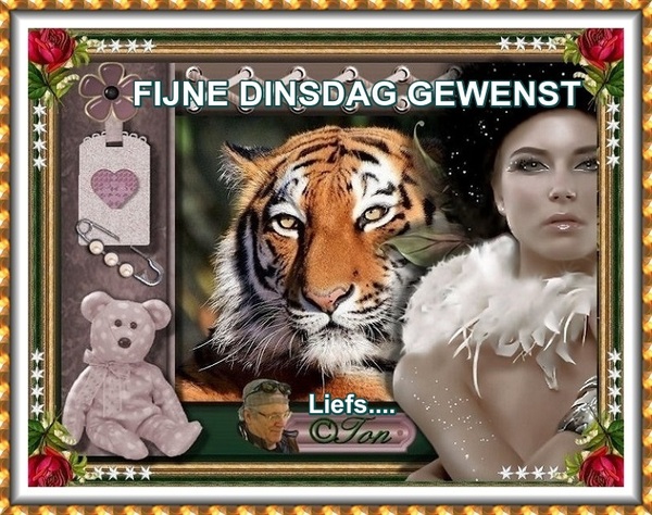 An den Beitrag angehängtes Bild: https://i.postimg.cc/kGh4zd25/FIJNE-DINSDAG-MET-TIJGER.jpg