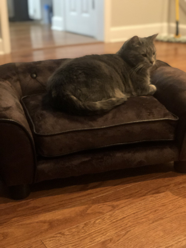 AB46220F-1B96-443D-A890-F189A7FA8BE5