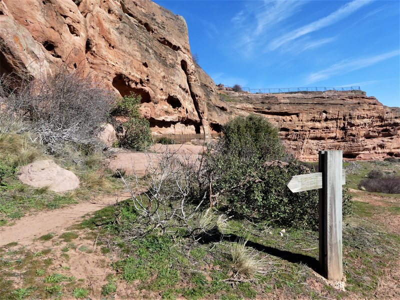 YACIMIENTO ARQUEOLOGICO DE TIERMES-16-2-2020 - Soria y sus pueblos-2010/2013/2020 (82)