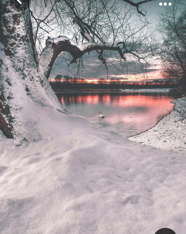 Screenshot_20231025_000606_Pinterest