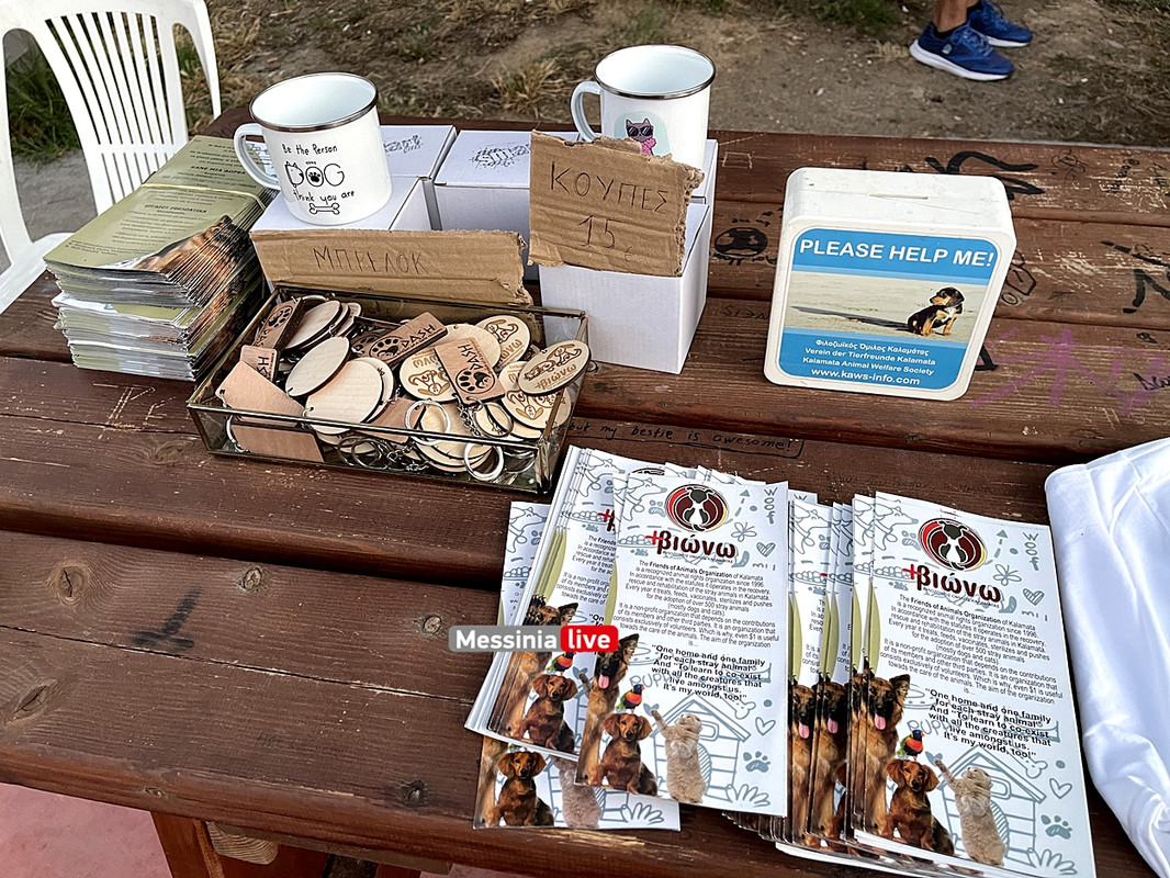 ΦΙΛΟΖimage00029