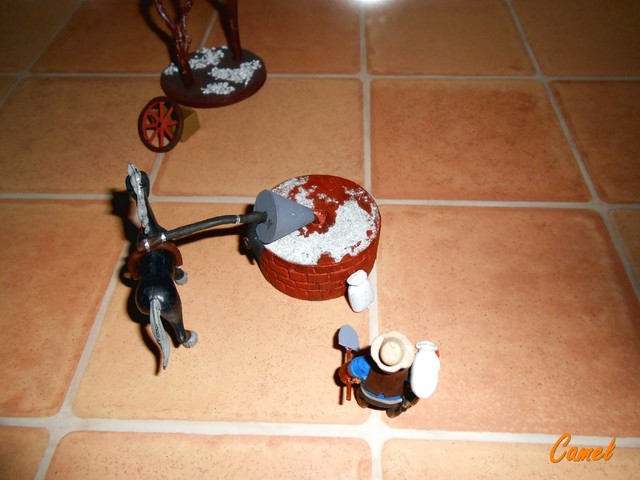DSCN7898