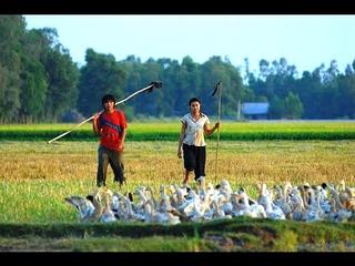 sang - DÒNG TRUYỆN THƠ VUI VỀ ĐỜI SỐNG, TÌNH CẢM & MƯU SINH...Của Nguyễn Thành Sáng&Tam Muội - Page 4 342