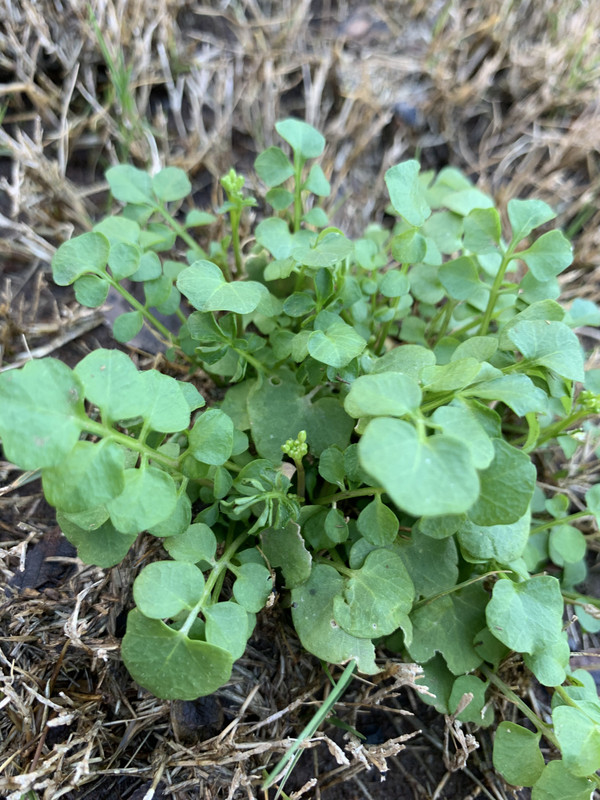 671A4C26-8878-4E1C-B2A2-A5DB2D395375