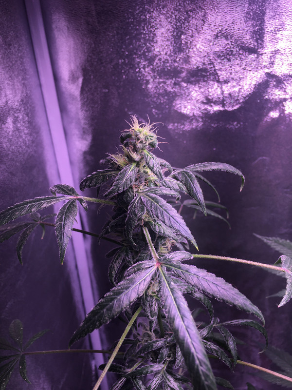 C4E91B6B-1134-490F-AD2C-C0F65B552A85