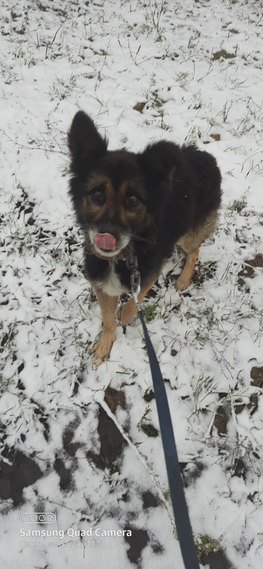 1853DE39-E5BD-4A19-93C2-CB2E5EB7F8BB