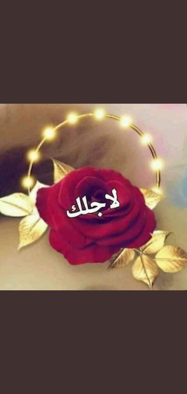 Screenshot_٢٠٢١٠٥٢٩-١٤٠٩٣٣