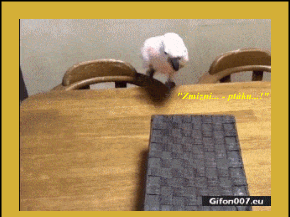 z-SYx62-Df-FCRO.gif
