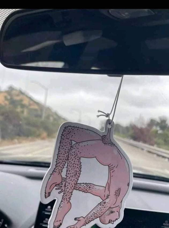 завокола