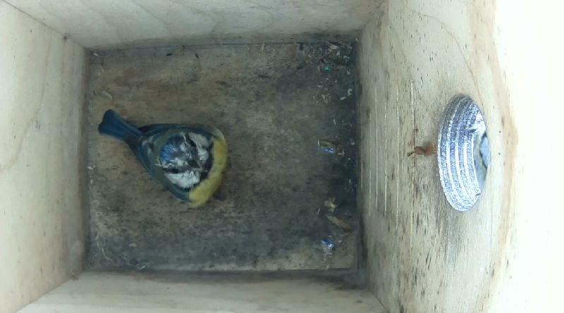 Untitled Project (Time 0_00_08;20)