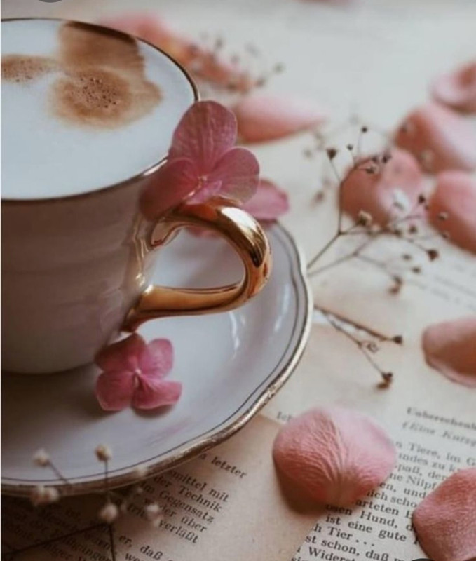 Screenshot_20230316_181009_Pinterest