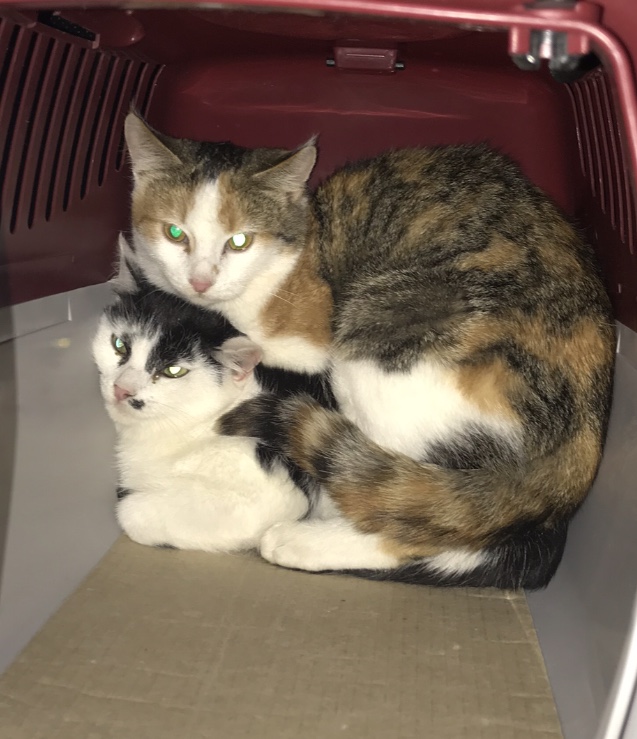 DFCC5DA8-3126-4509-B59F-51C9E155B691