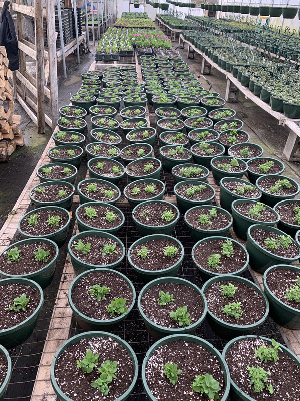 4BD8F1E7-9872-411A-9952-CE037F3FEBDE