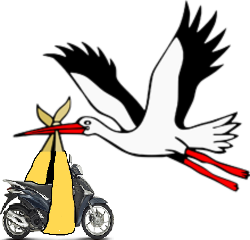 Stork_with_new-born_child