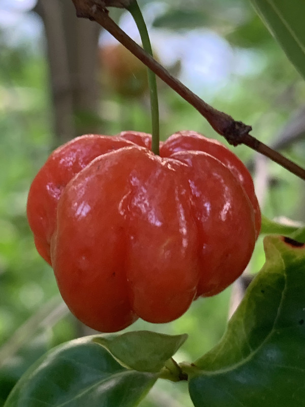 E76C1F19-B363-42EA-AACF-9810C8F914D6