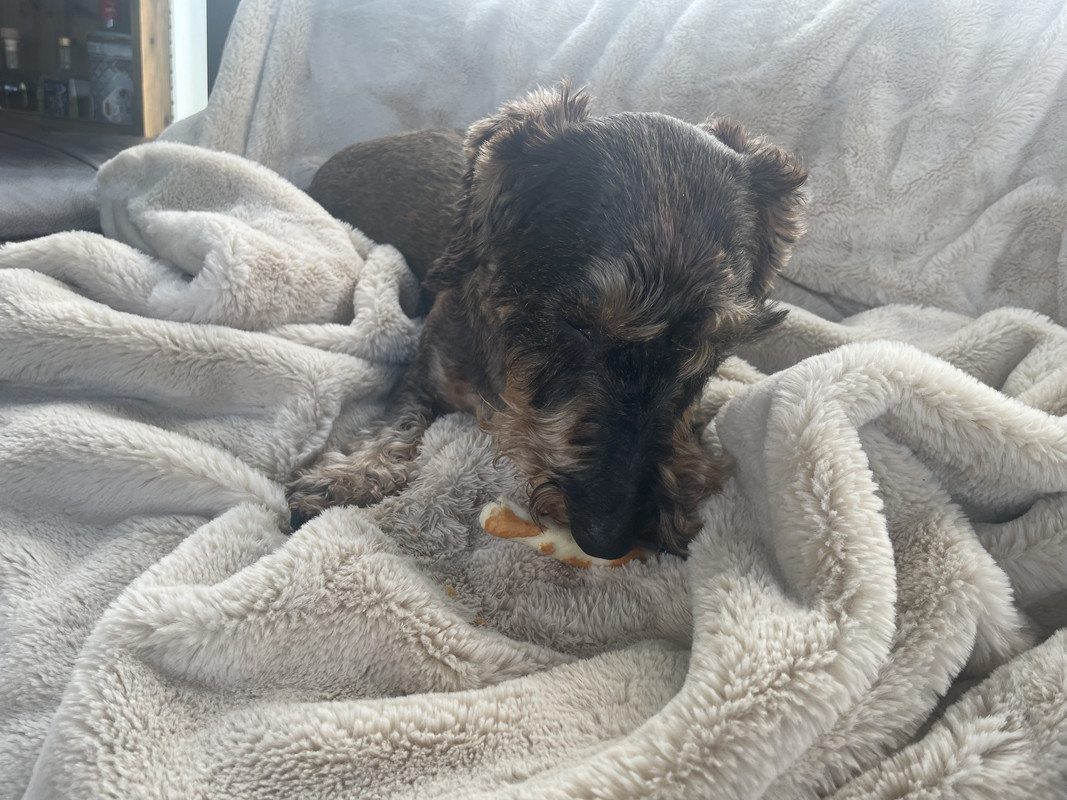 [Image: IMG-7744.jpg]