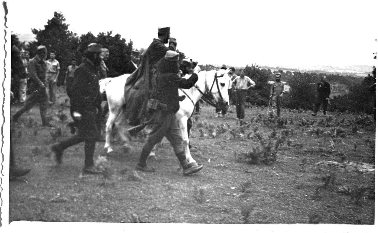 [Слика: img18.jpg]