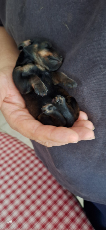 [Image: 20250421-195107.jpg]