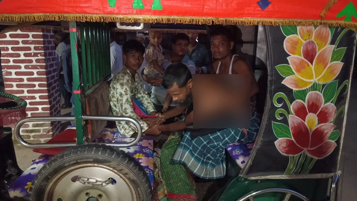 ছাগল খুঁজতে গিয়ে ভারতীয় বাঘের মুখে নারী, বাঁচাতে গিয়ে আহত আরও ২