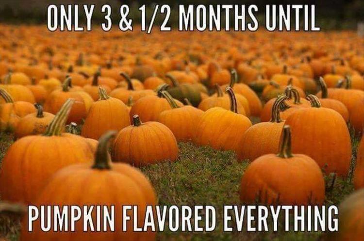 and_half_months_until_pumpkin_everything.jpg