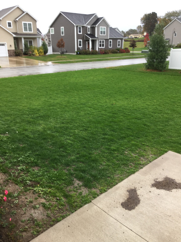 F41A4143-6C2E-4DEA-A262-711AD6FE41D2