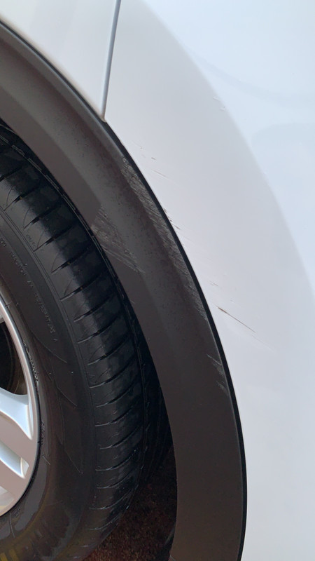 91E2FDC4-FE4B-413F-B1E4-57C5E48D46E7