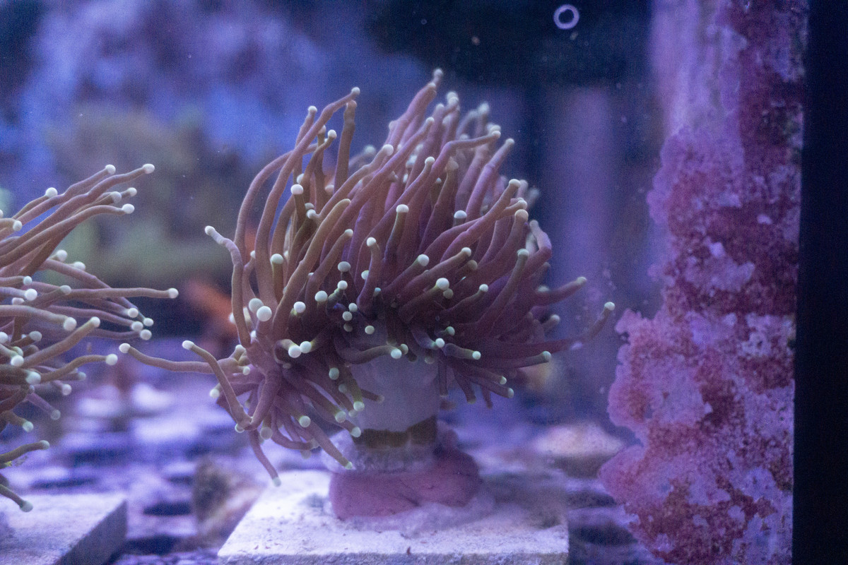 579BF2A2-C823-4C6C-8634-9A557E47B347