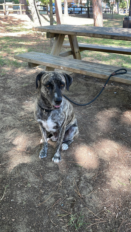 545026F4-D66F-406F-915F-4988D8998D98