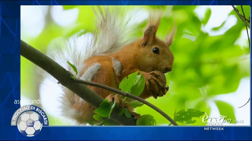 Altre regioni processo prob (4)