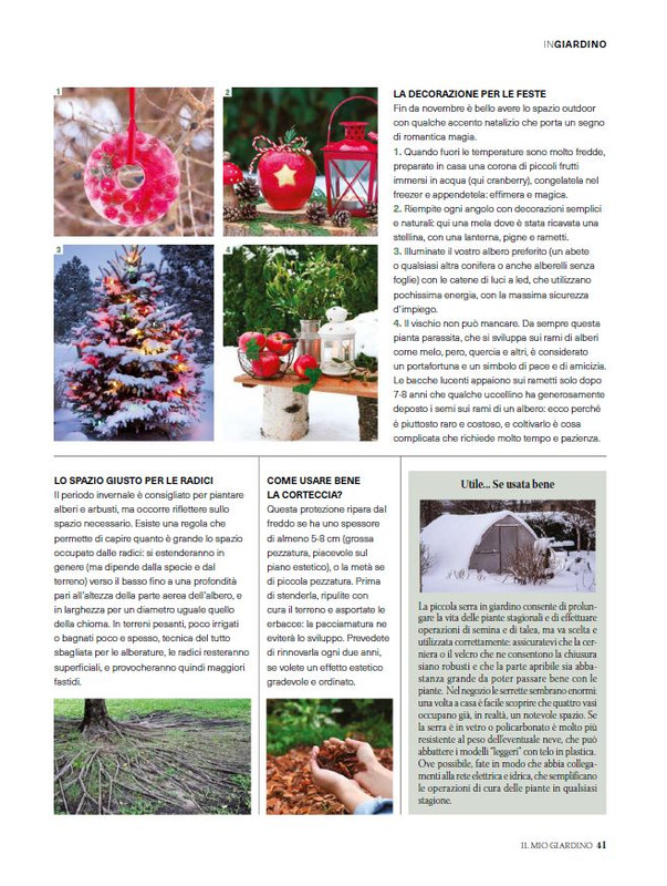 Il Mio Giar Dic 2024-Gen 2025 (8)