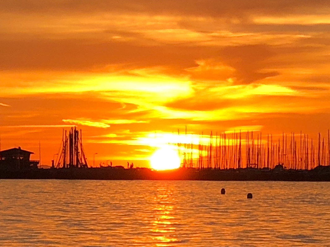 D3D4858A-0DB6-4574-9398-772101AFD5EF