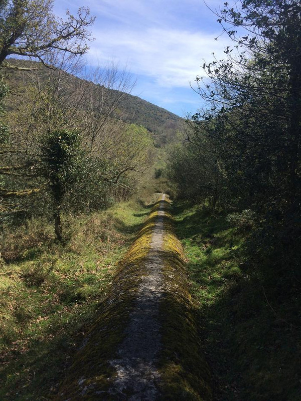 NANSA canal nansa peña sagra 215