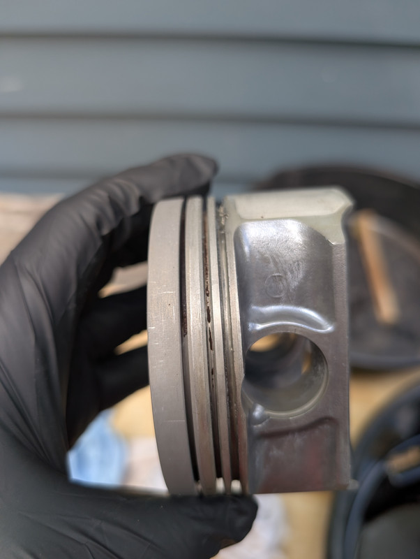 PXL 20251105 181210015 Original