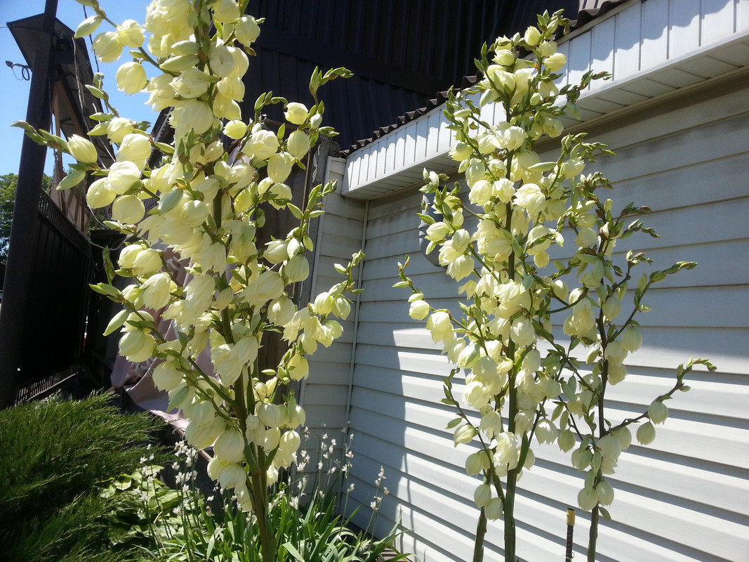 20180613_115140