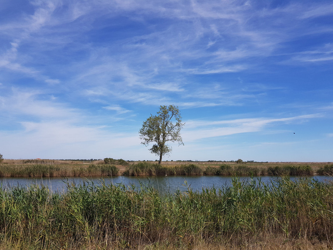 canals and polders n shit