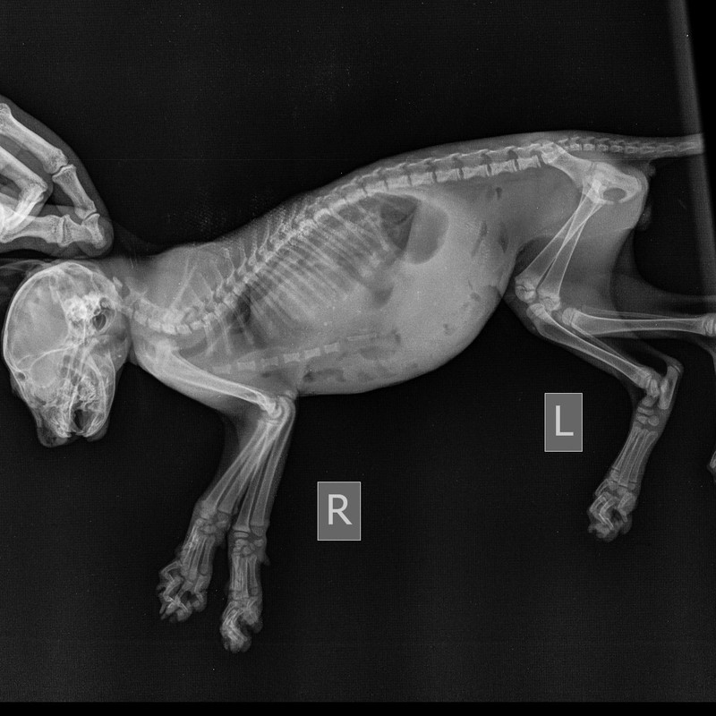 E54CFDEE-C897-4B2F-B53A-D22B65192983