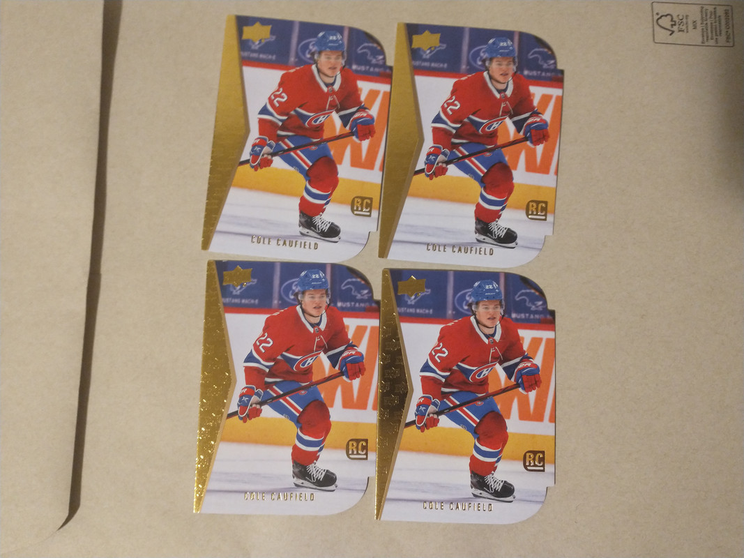 IMG_20241221_143933391