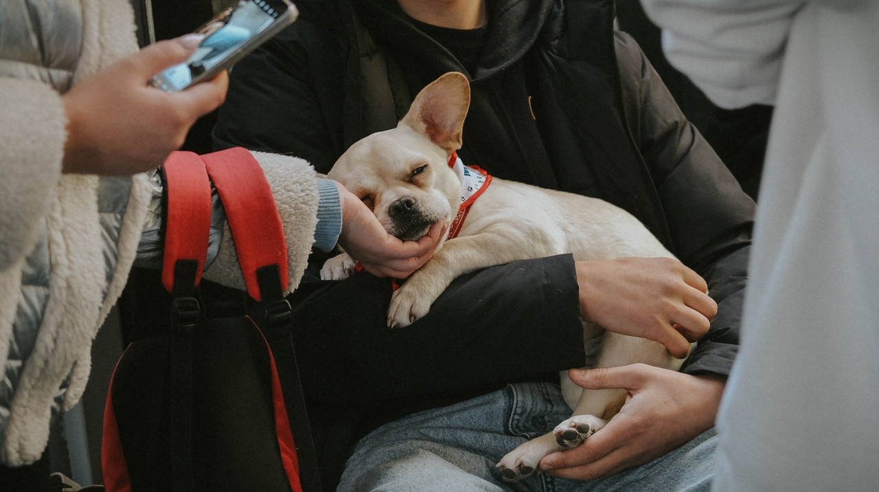 C71CAAF6-0405-4267-B7CC-28B509B0CC96