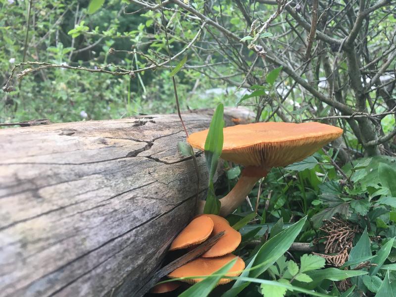 48862FEE-3F2B-4001-B551-E421E9A67BE8